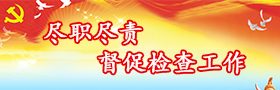 盡職盡責(zé)督促檢查工作